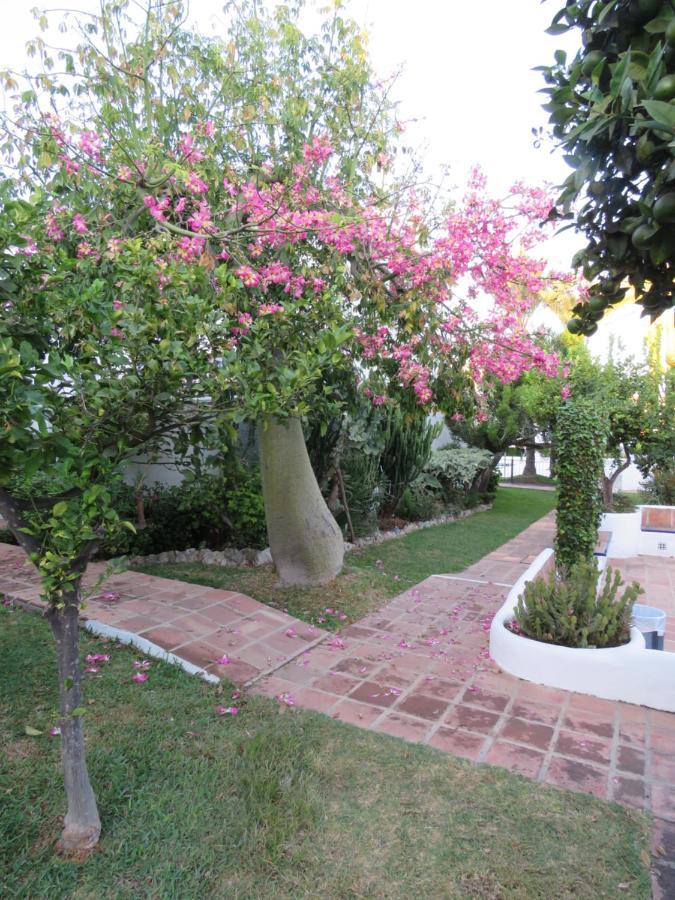 Apartamento Bien Situado En Marbella Zewnętrze zdjęcie